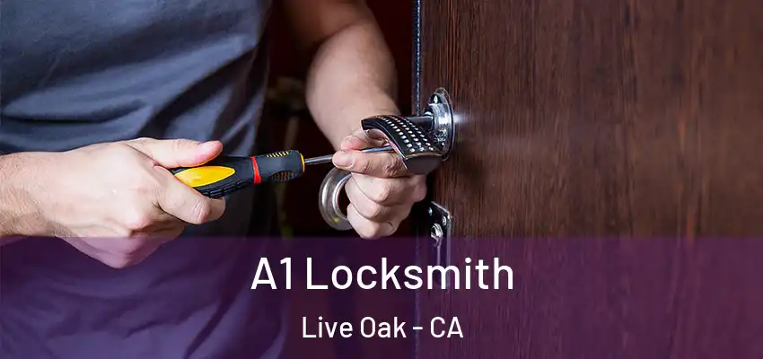  A1 Locksmith Live Oak - CA