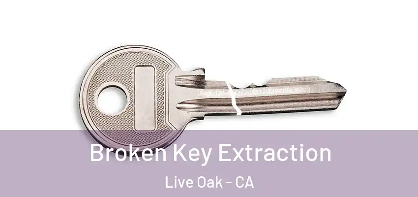  Broken Key Extraction Live Oak - CA