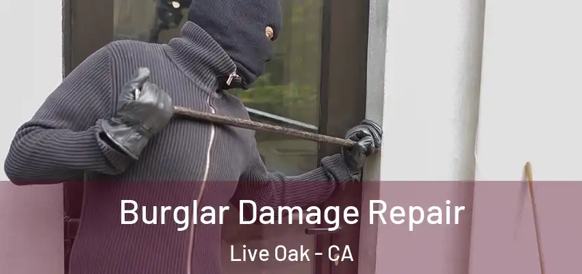 Burglar Damage Repair Live Oak - CA
