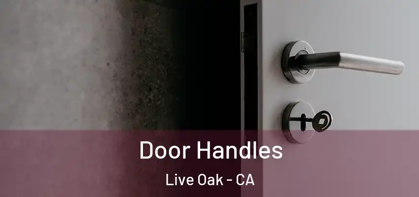  Door Handles Live Oak - CA