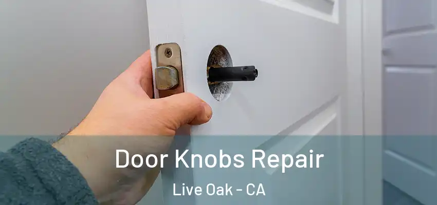  Door Knobs Repair Live Oak - CA