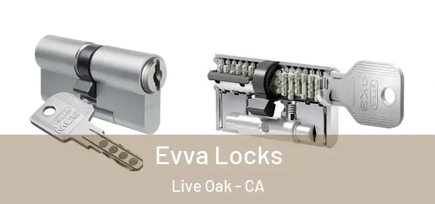  Evva Locks Live Oak - CA