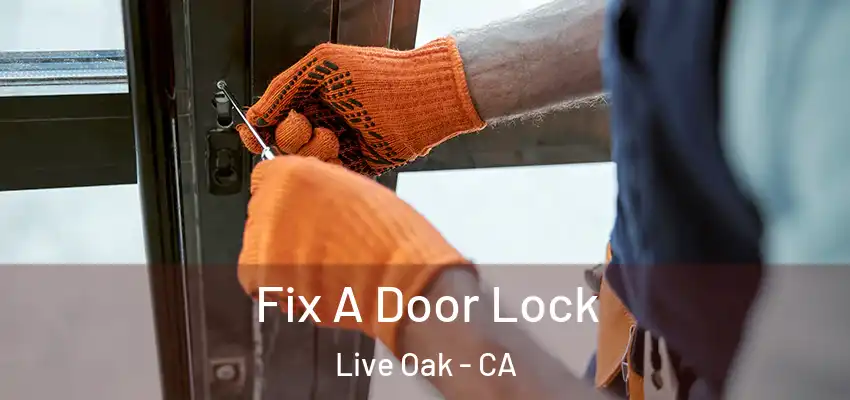 Fix A Door Lock Live Oak - CA