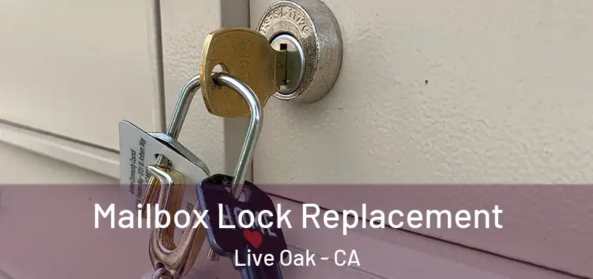 Mailbox Lock Replacement Live Oak - CA