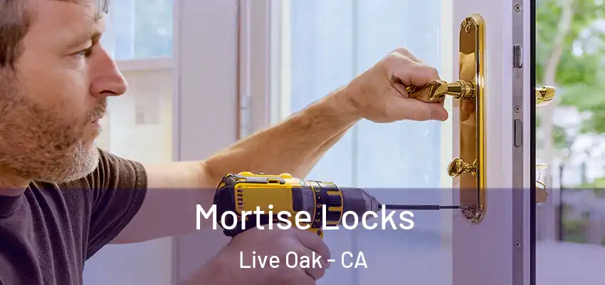  Mortise Locks Live Oak - CA