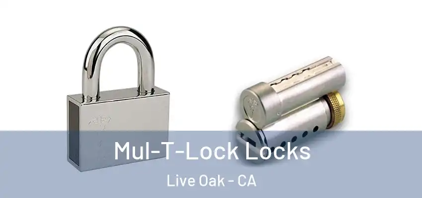  Mul-T-Lock Locks Live Oak - CA