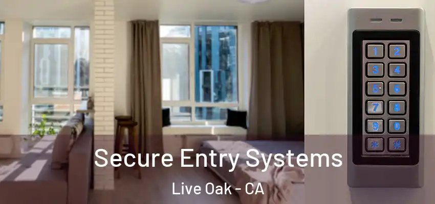  Secure Entry Systems Live Oak - CA